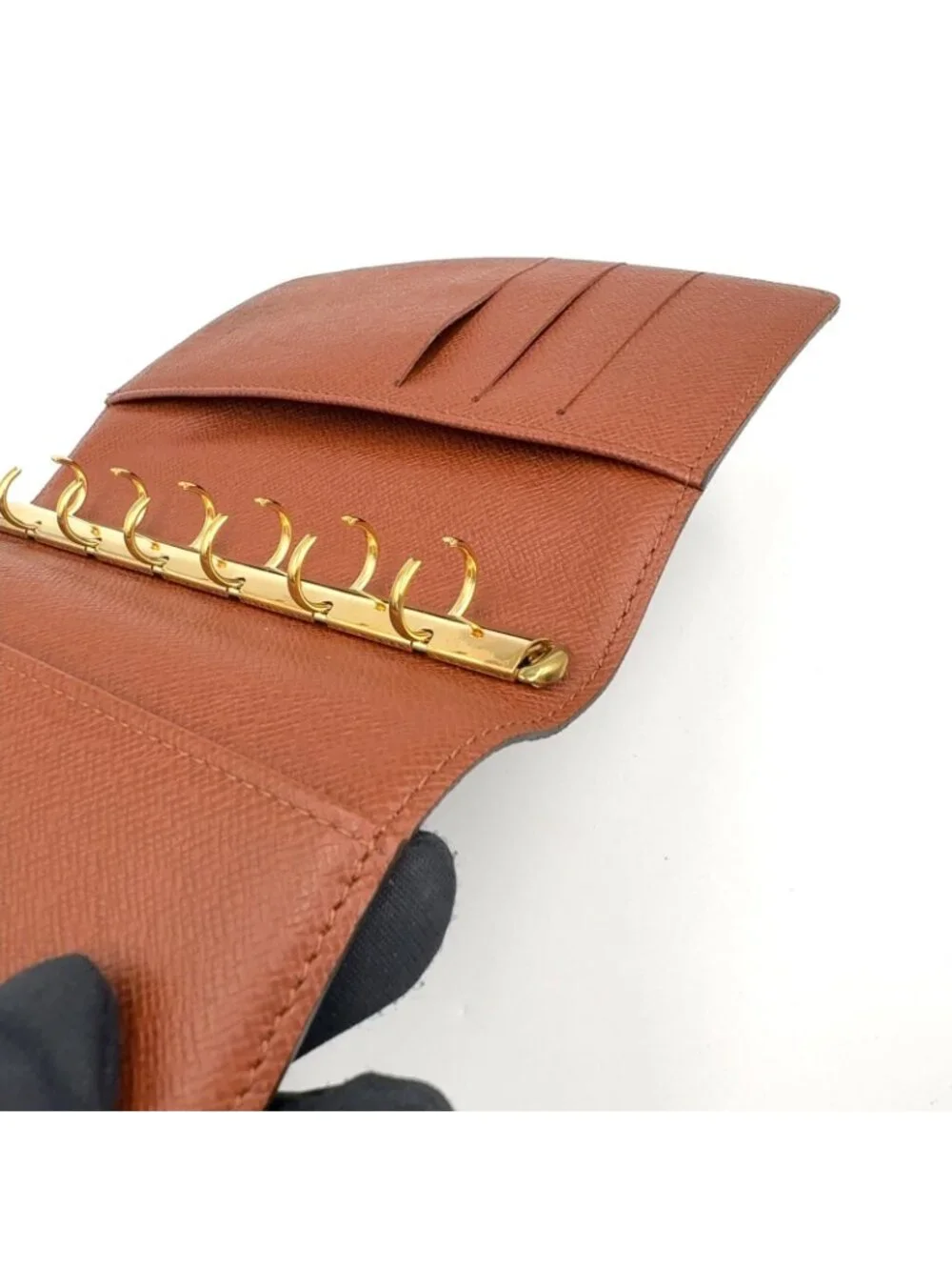 Louis Vuitton brand louis